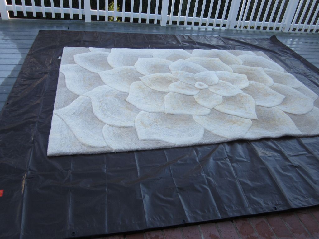 How to properly pit wash a wool rug, urine stained. Page 2